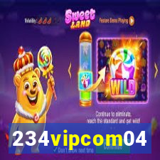 234vipcom04