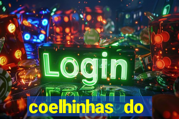 coelhinhas do brasil site