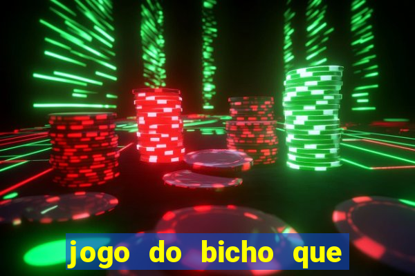 jogo do bicho que paga no pix