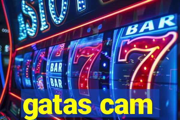 gatas cam