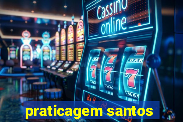 praticagem santos