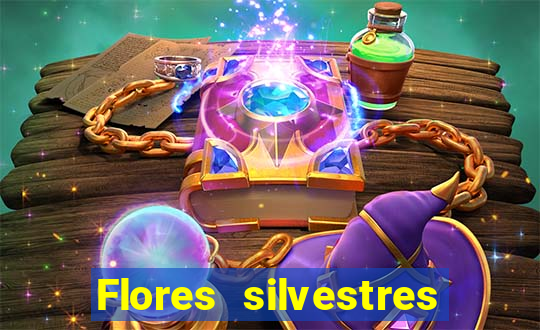 Flores silvestres brasileiras brasileiras flores silvestres nomes e imagens