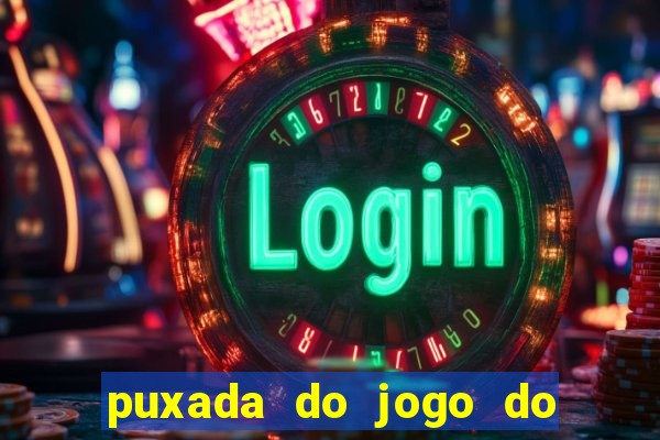 puxada do jogo do bicho da sueli