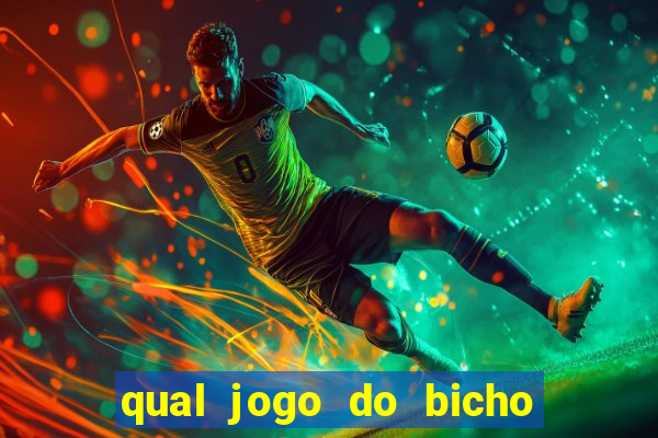 qual jogo do bicho paga mais