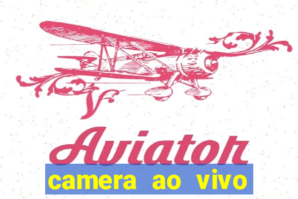 camera ao vivo terminal vila nova cachoeirinha