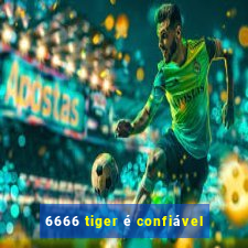 6666 tiger é confiável