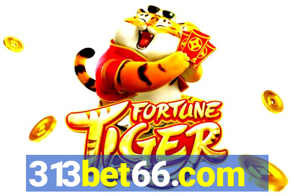 313bet66.com